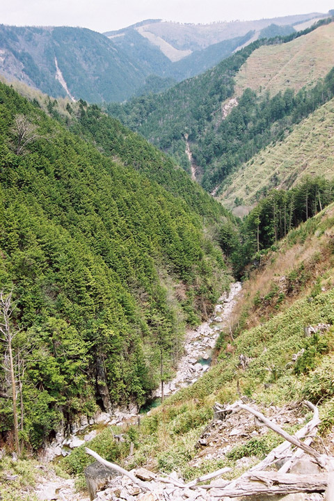 ����X�ѓS�����������,�t���򋴗�,�ѓS,�p����