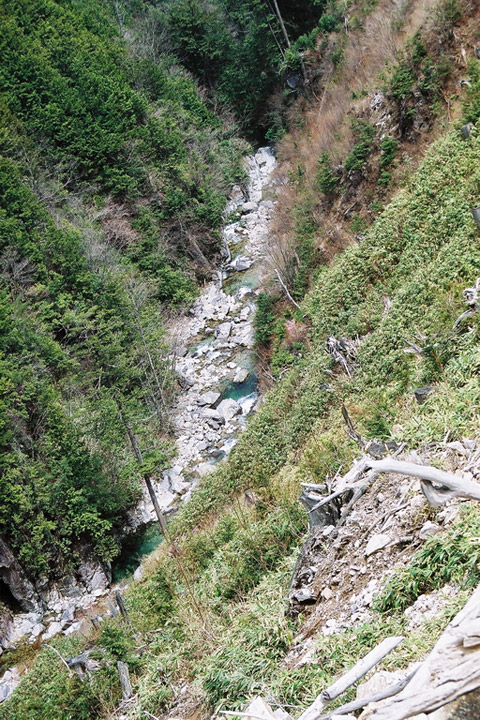 ����X�ѓS�����������,�t���򋴗�,�ѓS,�p����