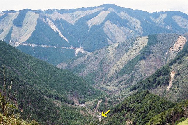 ��������ѓS,�t���򋴗�,�X�ѓS��,�p����