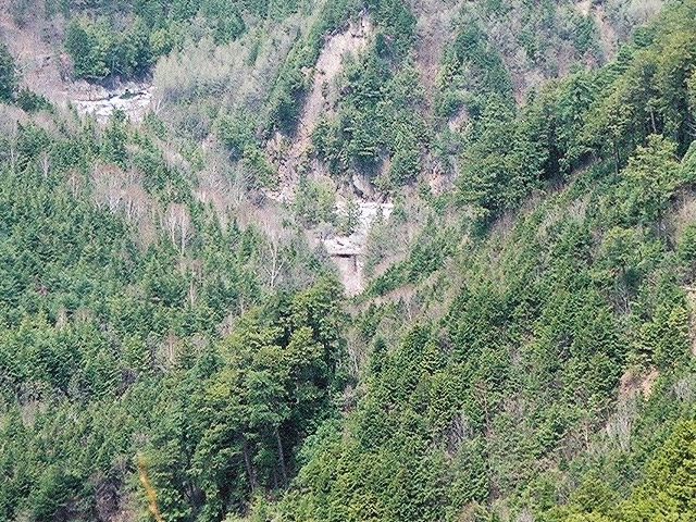 ����X�ѓS�����������,�t���򋴗�,�ѓS,�p����