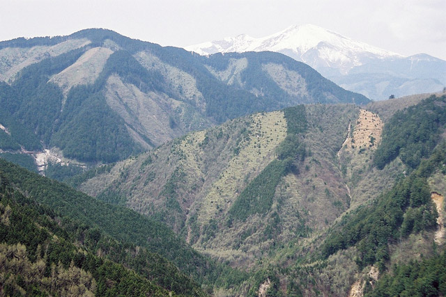 ����X�ѓS�����������,�t���򋴗�,�ѓS,��ԎR