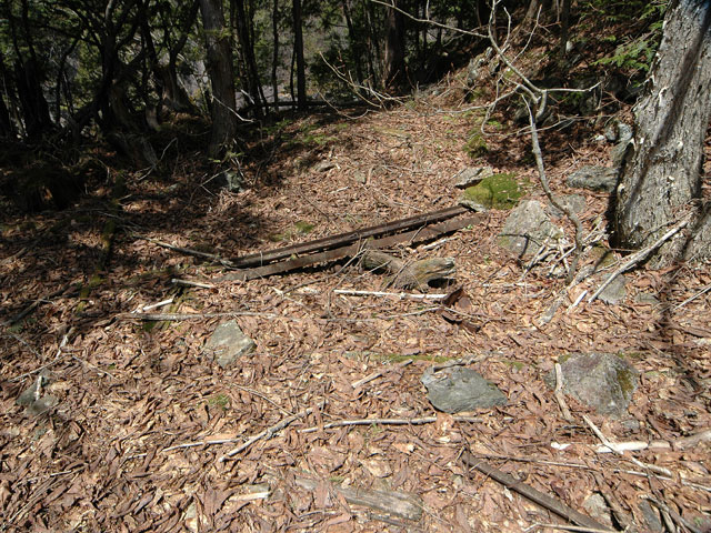 ����X�ѓS�����������,�ѓS,�p����,���[��,���H