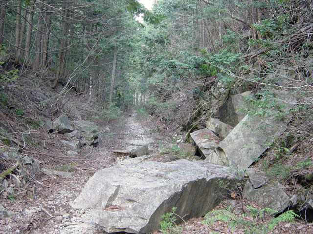 ����X�ѓS�����������,�ѓS,�p����,����