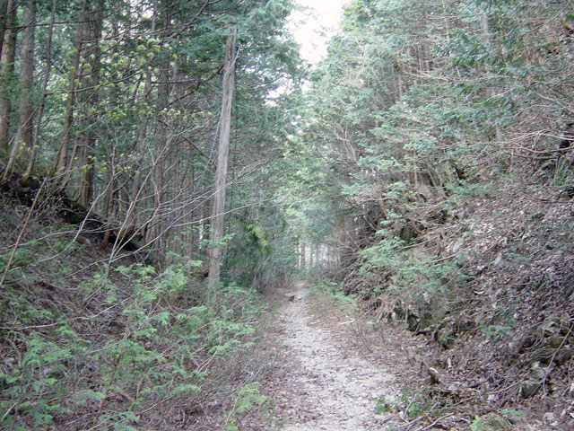 ��������ѓS�u�t���򋴗��[����v