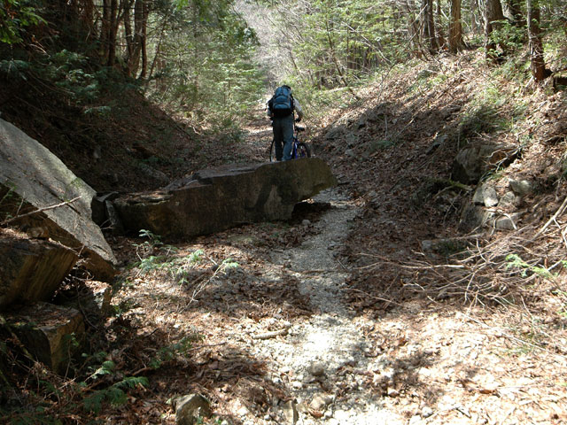 ����X�ѓS�����������,�ѓS,�p����,�W�ޑ���