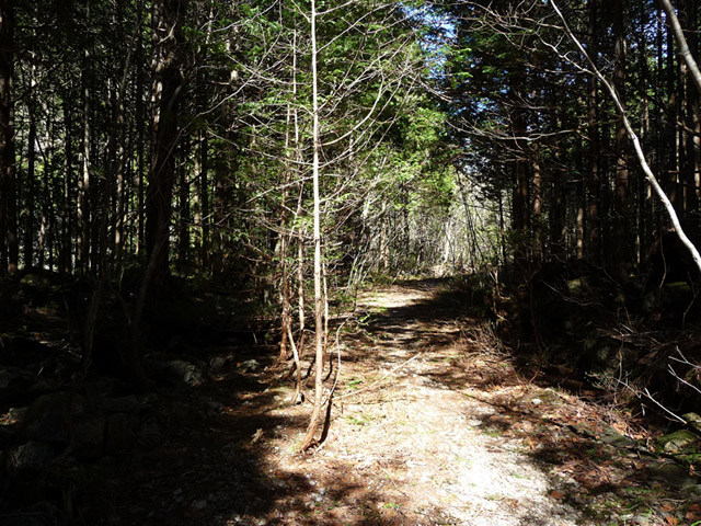 ����X�ѓS�����������,�ѓS,�p����,����