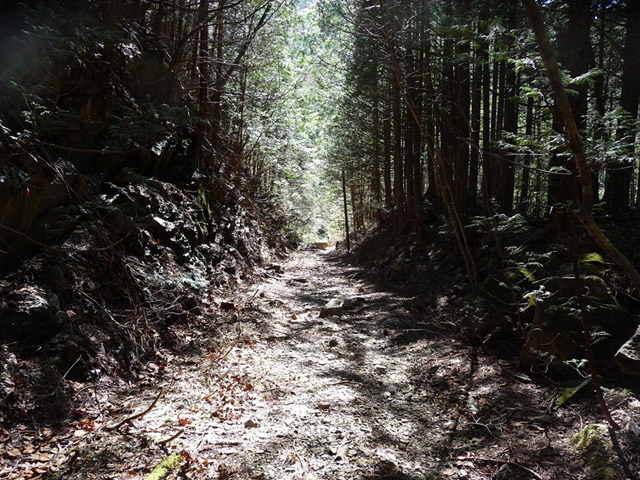 ����X�ѓS�����������,�ѓS,�p����,����