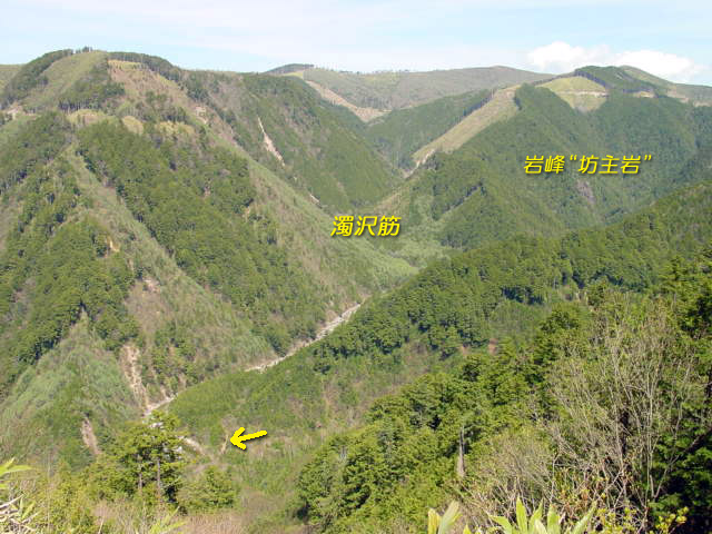 ����X�ѓS�����������,�ѓS,�p����,����,����