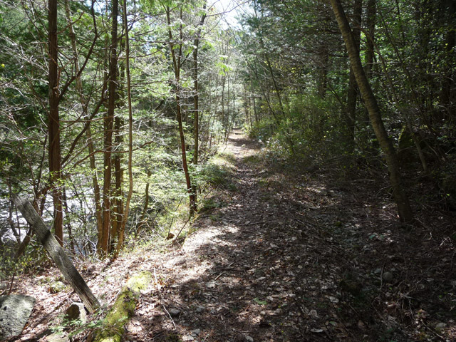 ����X�ѓS�����������,�L���|�X�g,�����W,�W��,�ѓS