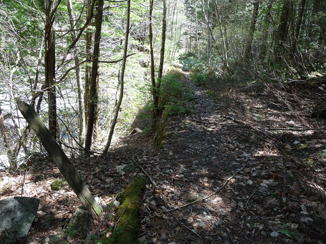 ����X�ѓS�����������,�L���|�X�g,�����W,�W��,�ѓS