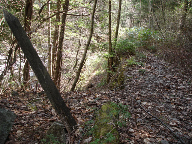 ����X�ѓS�����������,�L���|�X�g,�����W,�W��,�ѓS