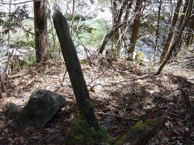 ����X�ѓS�����������,�L���|�X�g,�����W,�W��,�ѓS