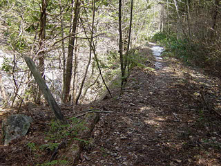 ����X�ѓS�����������,�L���|�X�g,�����W,�W��,�ѓS