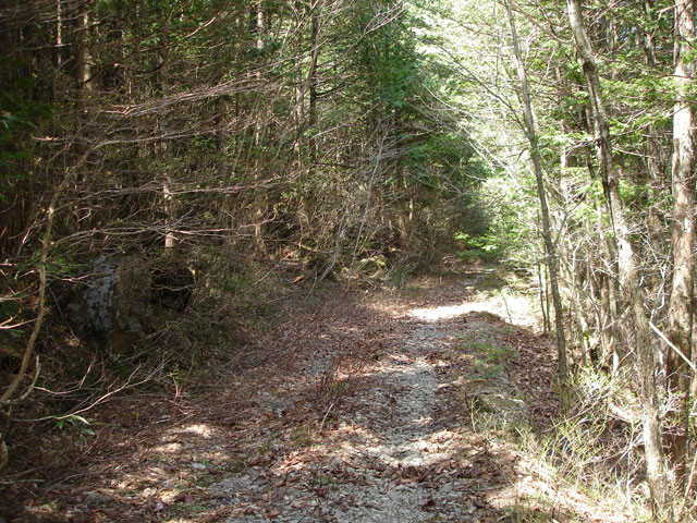 ��������X�ѓS��,�L���|�X�g,�����W,�W��,�ѓS,�ؑ]�X