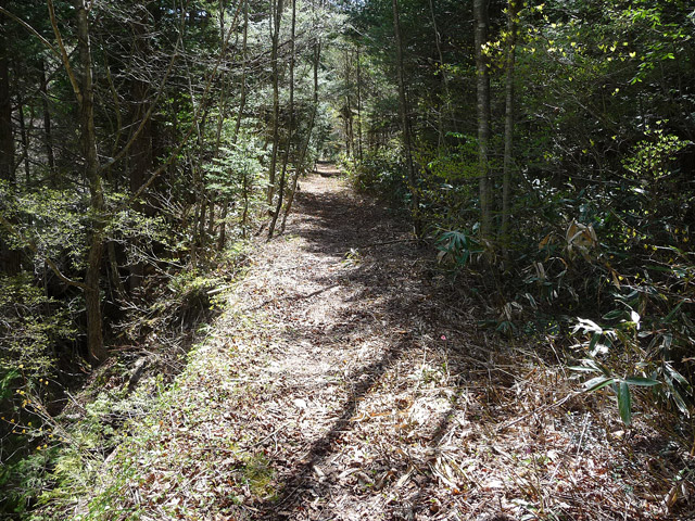 ����X�ѓS�����������,�F�̕�,�ѓS,�O����,�N�}�o�v����