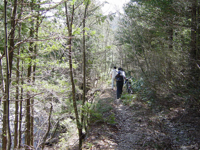 ����X�ѓS������������u�t���򋴗��[����v