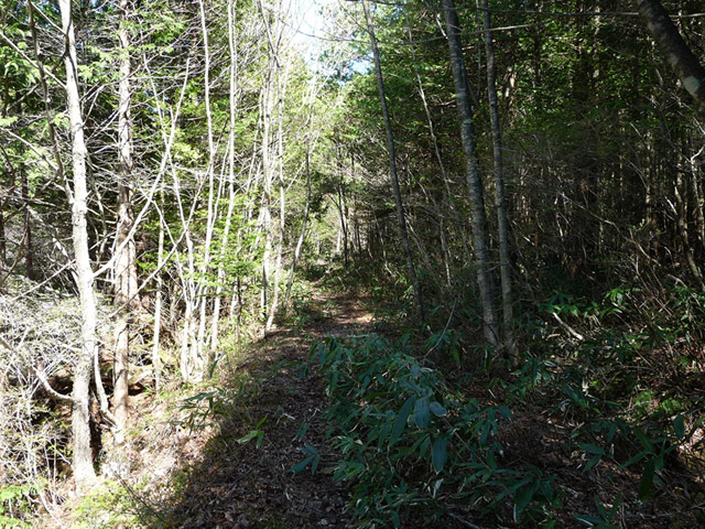 ��������X�ѓS��,�p����,�ѓS,�N�}��