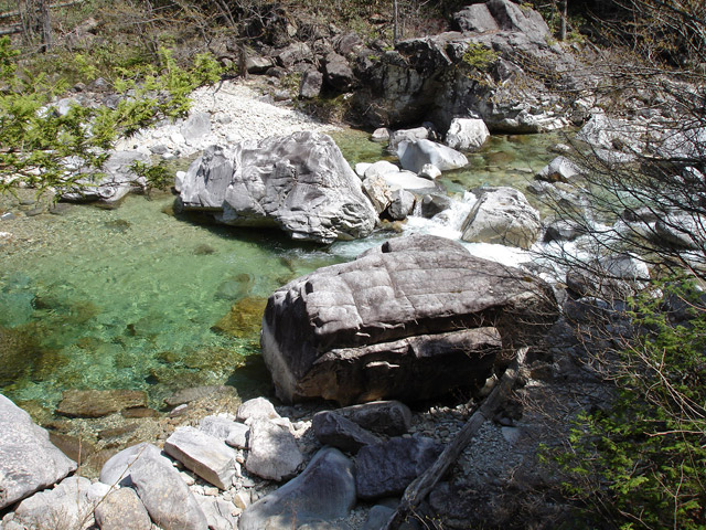 ����X�ѓS������������u�t���򋴗��[����v