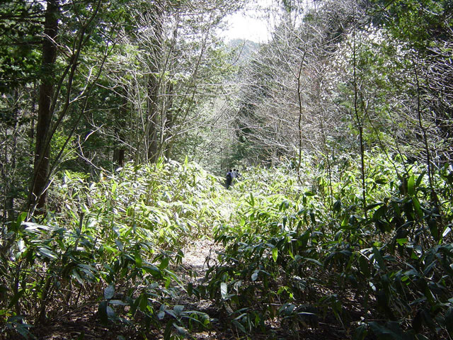 �X�ѓS��,��������ѓS,�p����,�p��,�ѓ�,�ؑ]�X