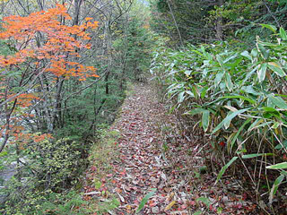 �ؑ]�X�ѓS��,��������ѓS,�p����,���ꑺ