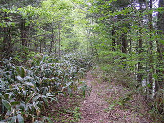 �ؑ]�X�ѓS��,��������ѓS,�p����,���ꑺ