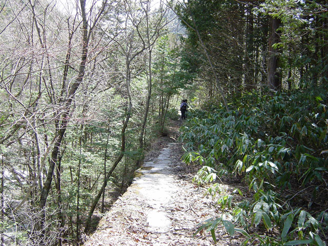 ��������X�ѓS��,�ѓS,�p����,�O����