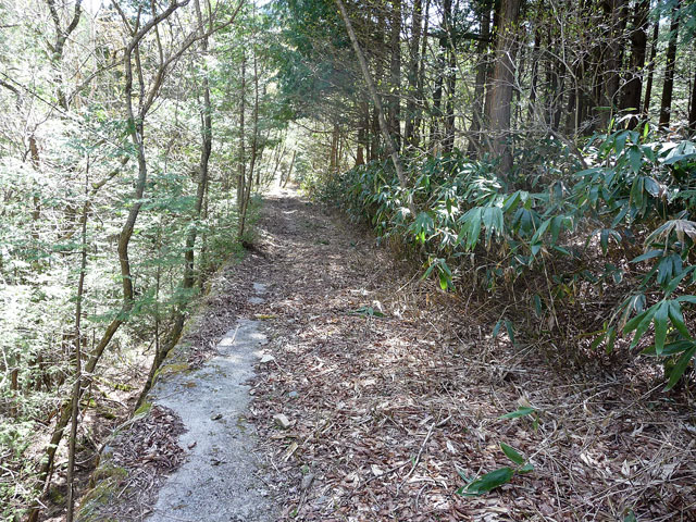 ����X�ѓS������������u�t���򋴗��[����v