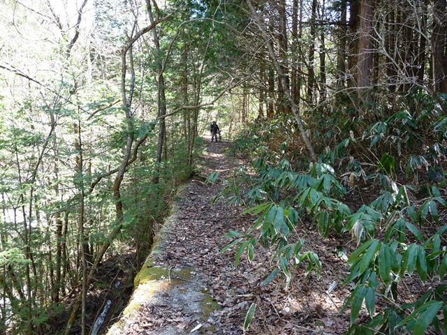 ����X�ѓS������������u�t���򋴗��[����v