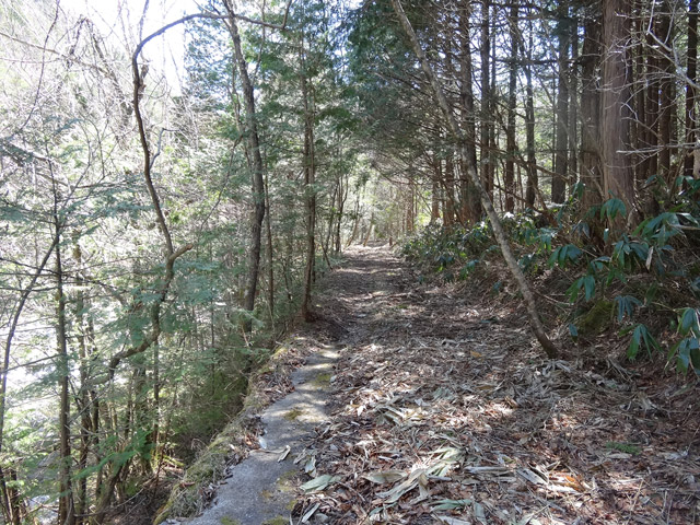 ����X�ѓS������������u�t���򋴗��[����v