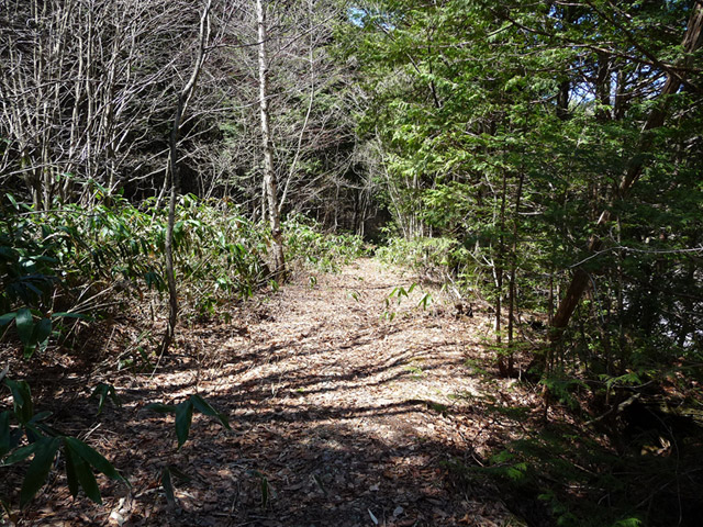 ����X�ѓS������������u�t���򋴗��[����v