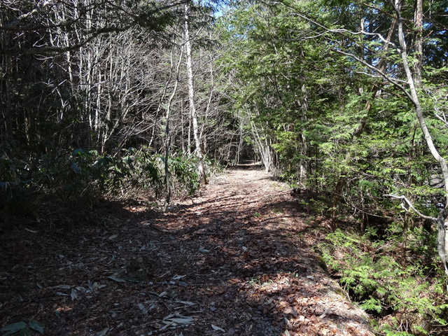 ����X�ѓS������������u�t���򋴗��[����v