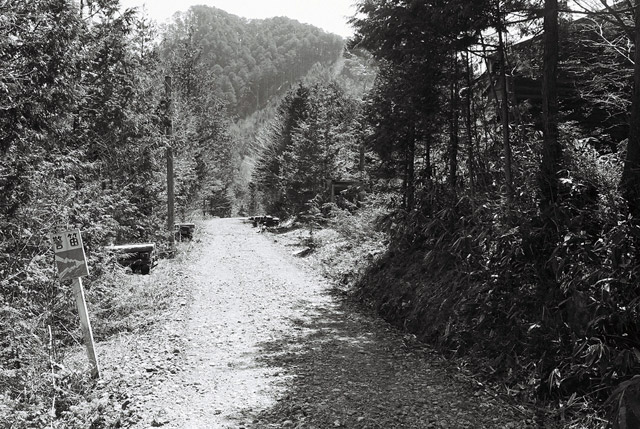 ����X�ѓS�����������,����,�t���z,�ѓS,�p����