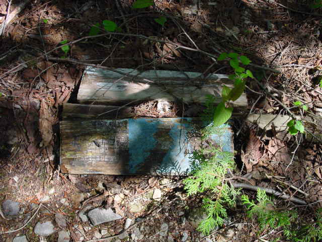 �X�ѓS��,����,�t���z,����������ѓS,�p����