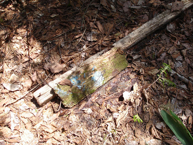 �X�ѓS��,����,�t���z,����������ѓS,�p����