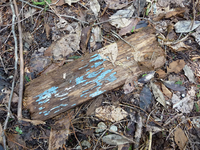 ����X�ѓS������������u�t���򋴗��[����v