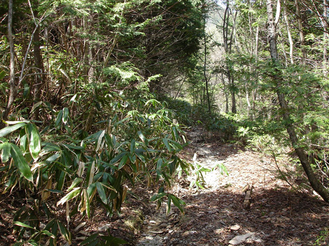 ����X�ѓS������������u����i�t���z�j�v