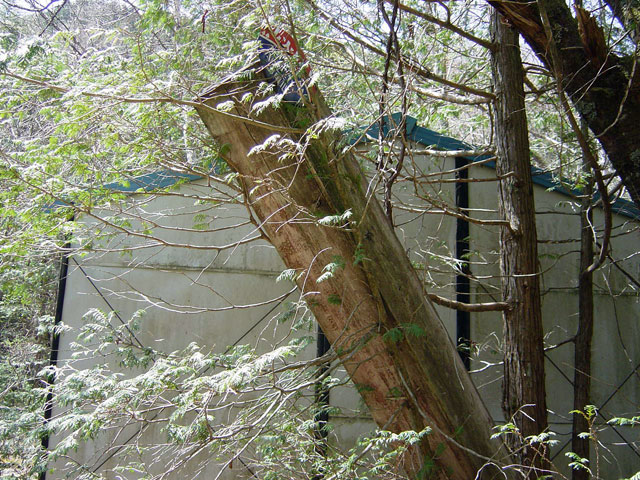 ����X�ѓS������������u����i�t���z�j�v