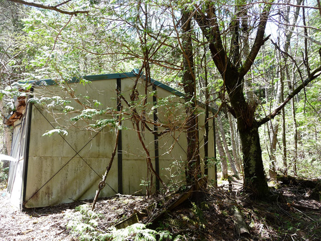 ����X�ѓS������������u�t���򋴗��[����v