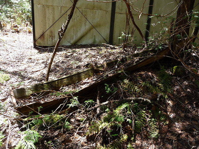 ����X�ѓS������������u�t���򋴗��[����v