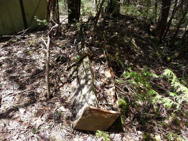 ����X�ѓS������������u�t���򋴗��[����v