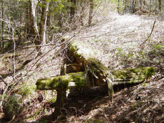 ����X�ѓS������������u����i�t���z�j�v