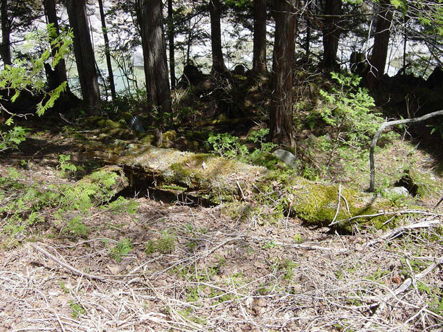 ����X�ѓS������������u����i�t���z�j�v