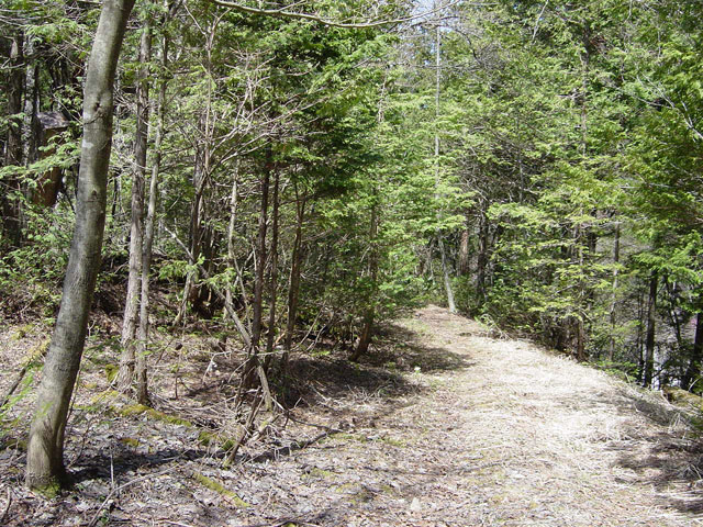 �ѓS��,��������X�ѓS��,�p��,�O����