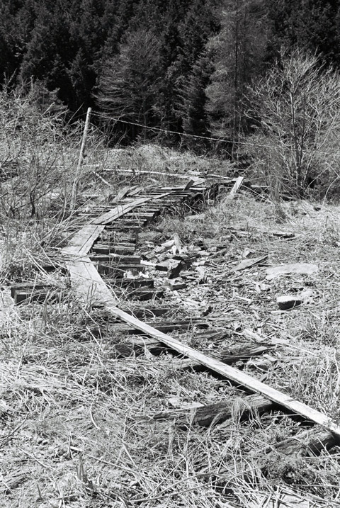 ��������X�ѓS��,�ѓS��,�؋�,�W�ޑ���,�V��