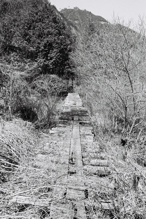 ��������X�ѓS��,�ѓS,�W�ޑ���,�p����,�؋�,�V��