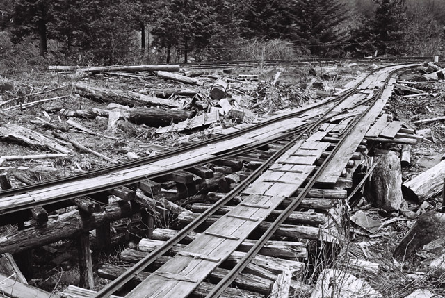 ��������X�ѓS��,�ѓS,�W�ޑ���,�p����,�؋�,�V��