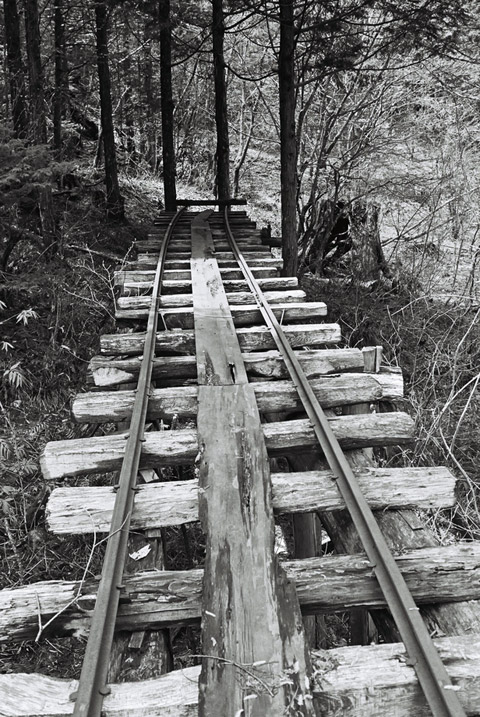 ����X�ѓS�����������,�ѓS,�V��,�؋�,�����,�I�_