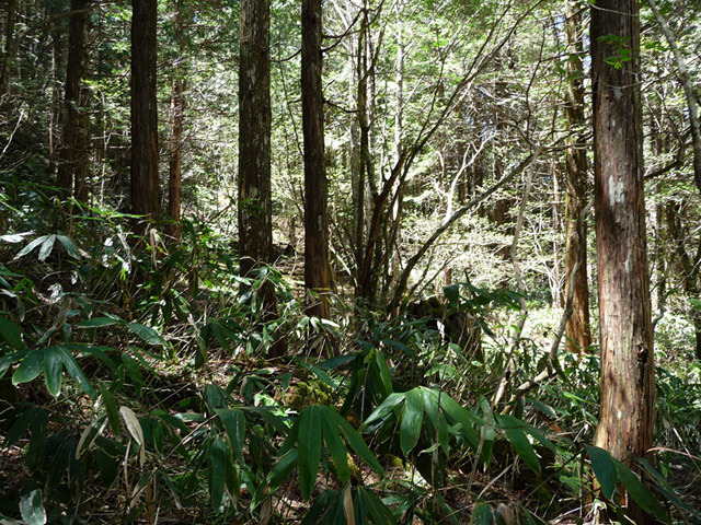 �X�ѓS��,�ѓS��,�V��,�؋�,�O����,�p����