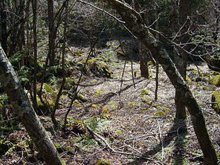 ����X�ѓS������������u����i�t���z�j�v