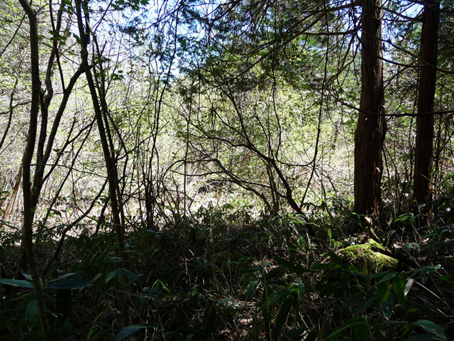 �X�ѓS��,�ѓS��,�p����